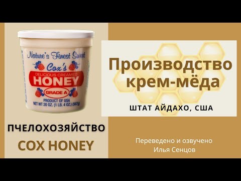 Промышленное производство крем-мёда семьи Кокс (США)